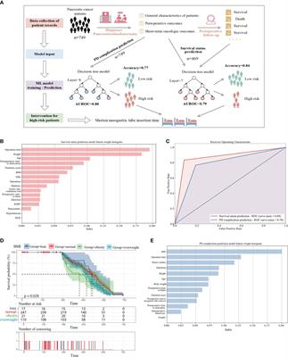 Guiding post-pancreaticoduodenectomy interventions for pancreatic cancer patients utilizing decision tree models